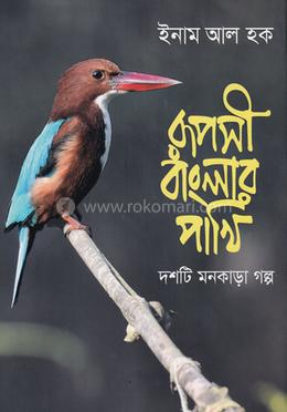 রূপসী বাংলার পাখি image