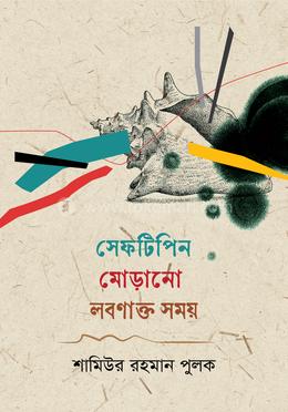 সেফটিপিন মোড়ানো লবণাক্ত সময়