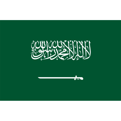 Source Image