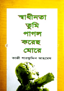 স্বাধীনতা তুমি পাগল করেছ মোরে 