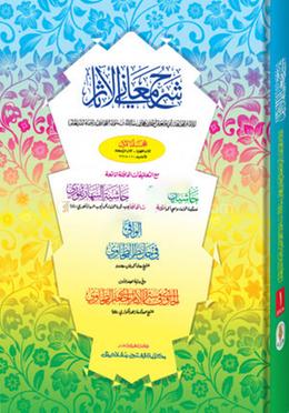 শরহু মায়ানিল আছার-তাহাভী শরীফ (জামাত-তাকমীল) (দুই কালার ও কম্পিউটারাইজড) - ১ম খণ্ড