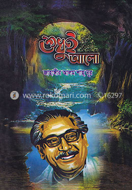 শুধুই আলো image