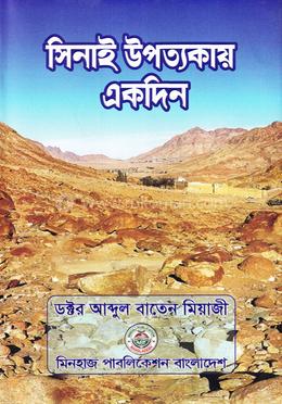 সিনাই উপত্যকায় একদিন image