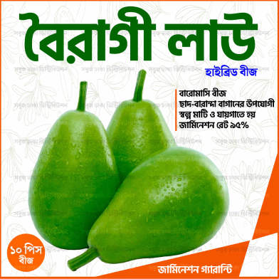 Hybrid Boiragi Lau Seeds 10 Pcs image