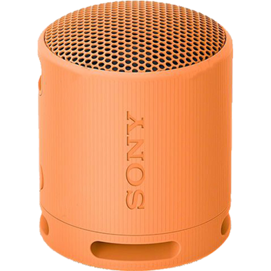 Sony SRS-XB100 Portable Wireless Speaker image