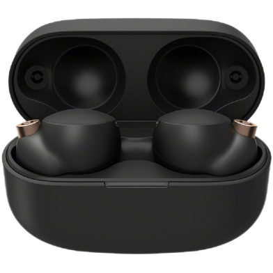 Sony WF-1000XM4 Wireless Noise Cancelling Headphones image