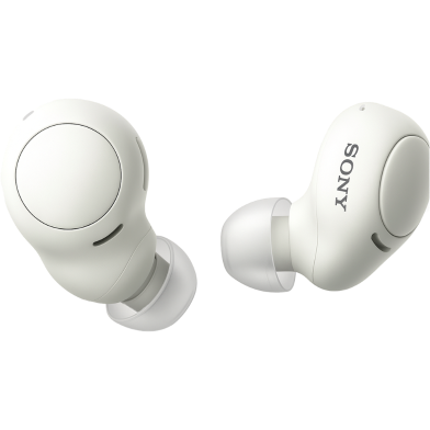 Sony WF-C500 Truly Wireless Headphones image