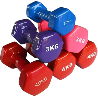 2kg Vinyl Dumbbell for Fitness Training Price in Bangladesh