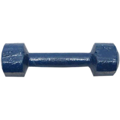 Sports House Dumbbell - Navy Blue - 4kg image