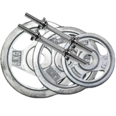 Sports House Dumbbell Plate 5kg - Silver 20kg With Stick image