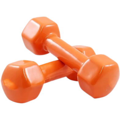 Sports House PVC Dumbbell 2kg image