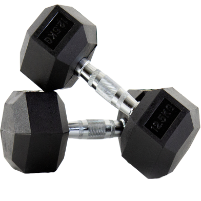 Sports and Fitness 12.5kg Hex Dumbbell 2 Pcs image