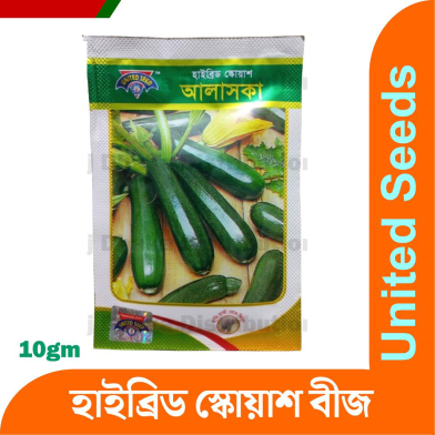 Squash Seeds 10 gm Intact image