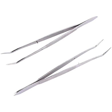 Stainless Steel Dental Tweezer Forcep image