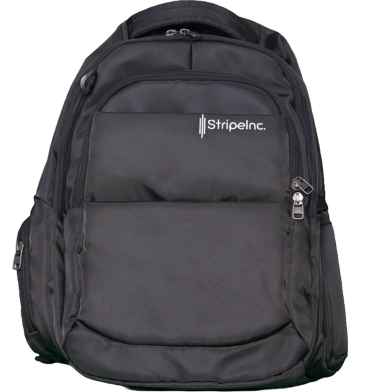 Stripelnc Exclusive School Backpack - Black image