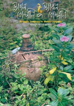 স্ট্রাগল কোম্পানি টু স্ট্যাবল কোম্পানি image