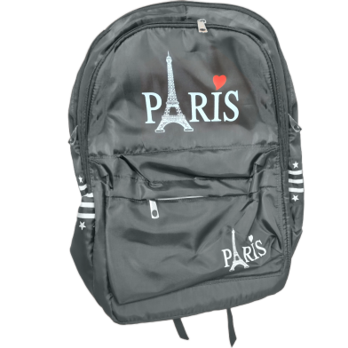 Stylish Paris Eiffel Tower Printed Backpack Suitable For College School And Travel image