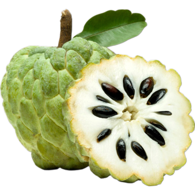 Sugar-Free Custard Apple Seeds 10 Pcs image