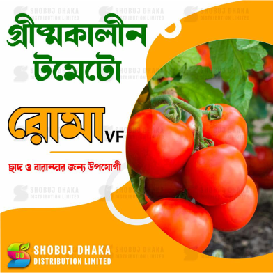Summer Tomato ROMA VF Intact Pack image
