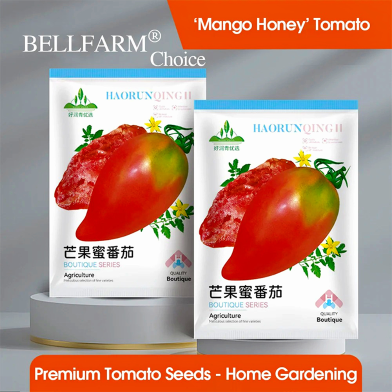 Super Sweet Mango Honey Tomato Seeds Foil Intact Pack 0.25gm image