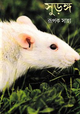 সুড়ঙ্গ