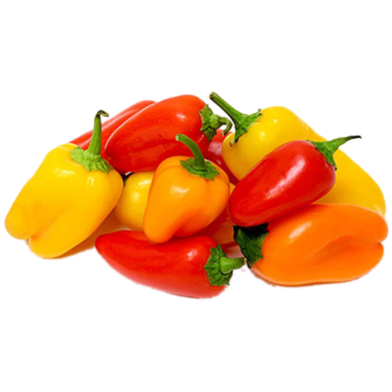 Sweet Pepper Seed image