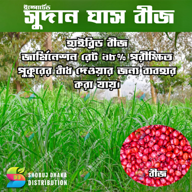 Sweet Sudan's Hybrid Grass Seeds (10g): Cultivate Lush Greenery With Ease - Your Unique Choice For Creating A Vibrant And Healthy Garden image