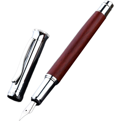 TSAMSA High Quality Wooden Fountain Pen image
