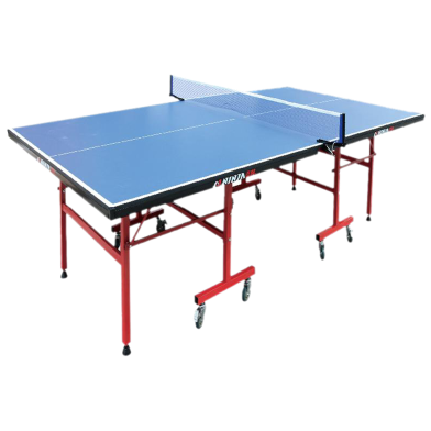 Table Tennis In Red And Blue image