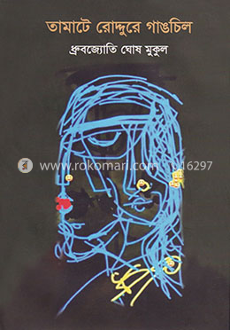 তামাটে রোদ্দুরে গাঙচিল image