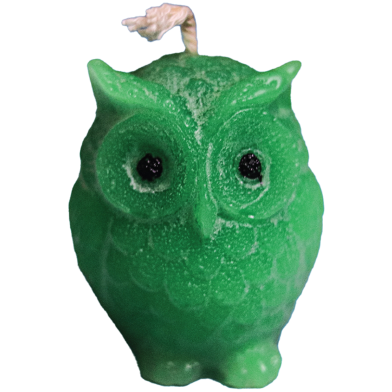 Teddy Bear Fragrance Candle- Green Colour image
