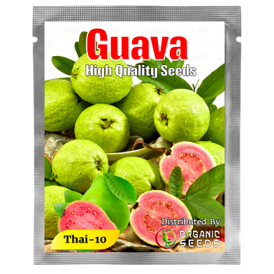 Thai Guava Fruit Seed- 10 Pcs image