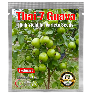 Thai-7 Guava Seeds-20Pcs image