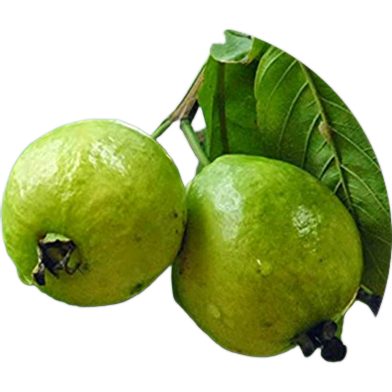 Thai-7 Guava Seeds-20Pcs image