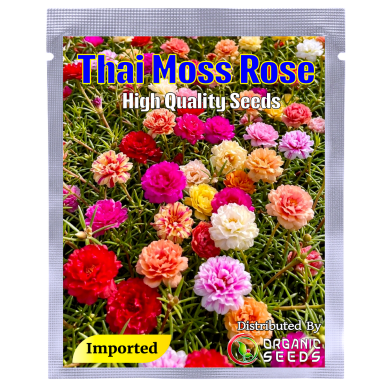All Season Thai Mix Color Moss Rose Portulaca Flower Seeds 55 Pcs Plus image