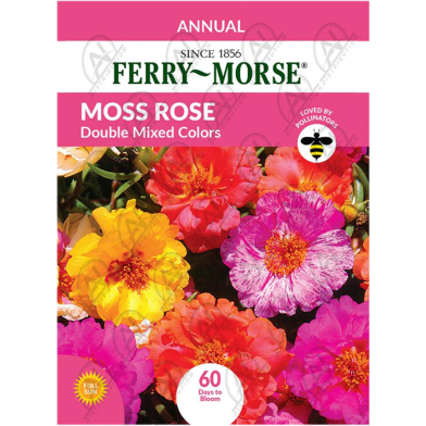 Thai Moss Rose Portulaca Seeds Slide 1
