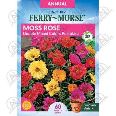 Thai Moss Rose Portulaca Seeds Slide 2