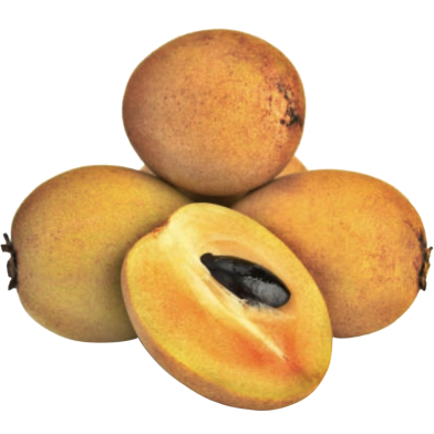 Thai Sofeda Seeds 5pcs image