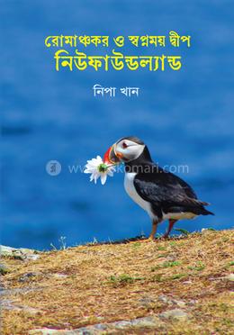 রোমাঞ্চকর ও স্বপ্নময় দ্বীপ নিউফাউন্ডল্যান্ড image