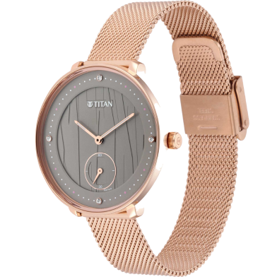 Titan Workwear Watch with Black Dial and Stainless Steel Strap - 2651WM01 image