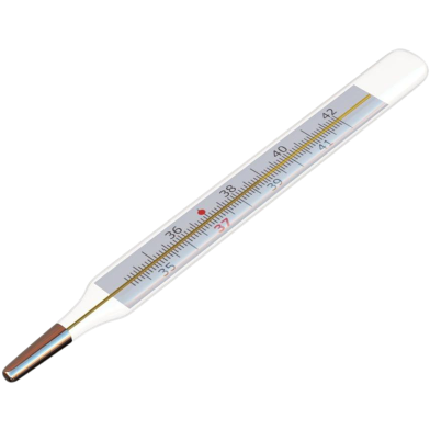 Toshiba Clinical Thermometer 1 Pcs image