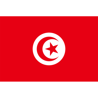 Tunisia Flag FIFA World Cup 2026 Printed Polyester Fabric image
