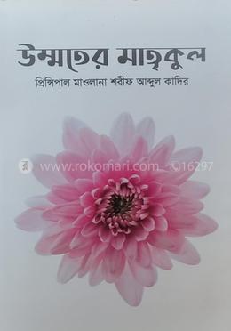 উম্মতের মাতৃকুল 