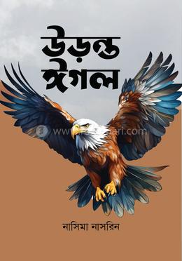 উড়ন্ত ঈগল image