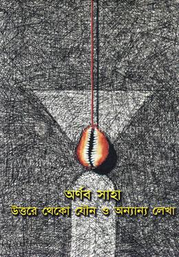 উত্তরে থেকো যৌন ও অন্যান্য লেখা image