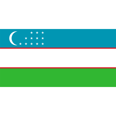 Uzbekistan Flag FIFA World Cup 2026 Printed Polyester Fabric image