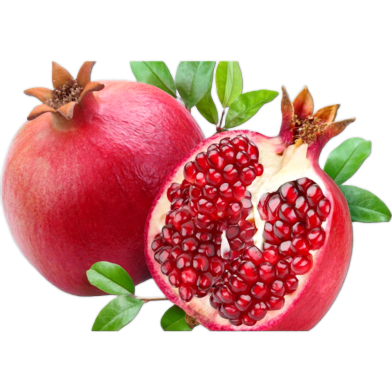 Vedana Fruit Bonsai Tree Seeds - 15 Pcs image