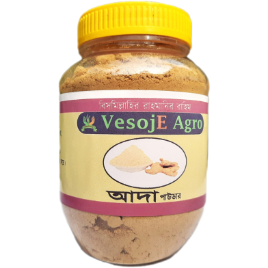 VesojE Agro Ginger Powder ( আদা গুড়া ) 100g image