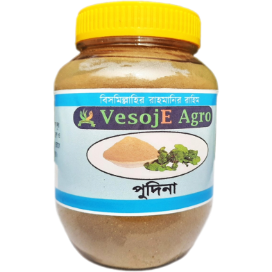 VesojE Agro Mint/ Pudina powder ( পুদিনা গুড়া ) 100g image