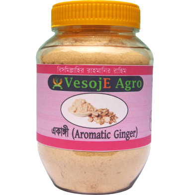 Vesoje Agro Aromatic Ginger Powder 100 gm image